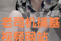 搞基视频网站,内容解析与行业反思