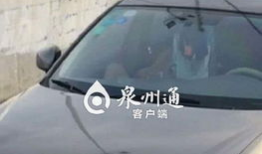 车震视频,揭秘车震视频背后的秘密