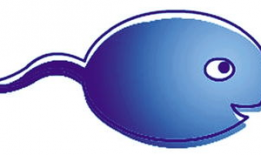 蝌蚪网视频,揭秘生物奥秘之旅