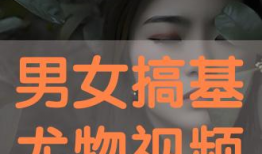 搞基视频网站,内容解析与行业反思